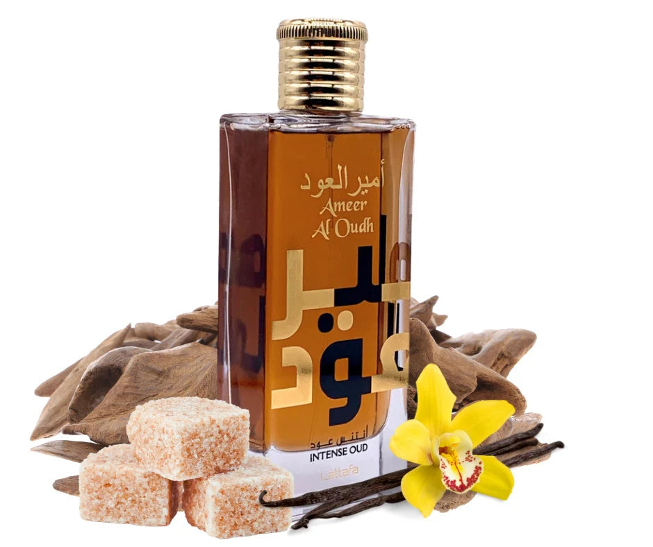 AMEER AL OUDH